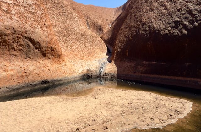 The Watering Hole