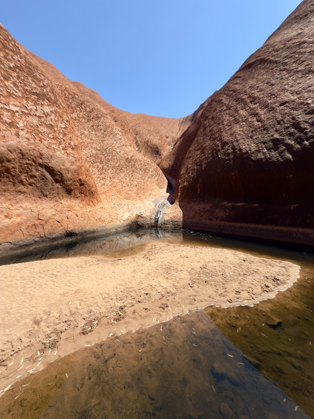 The Watering Hole